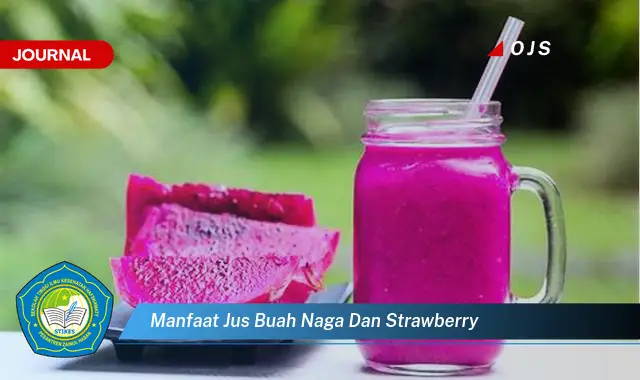 manfaat jus buah naga dan strawberry