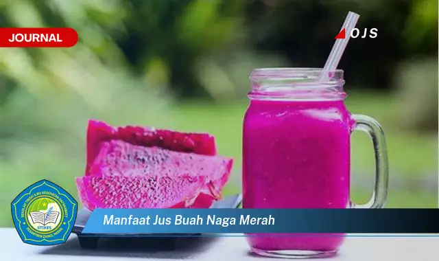 manfaat jus buah naga merah