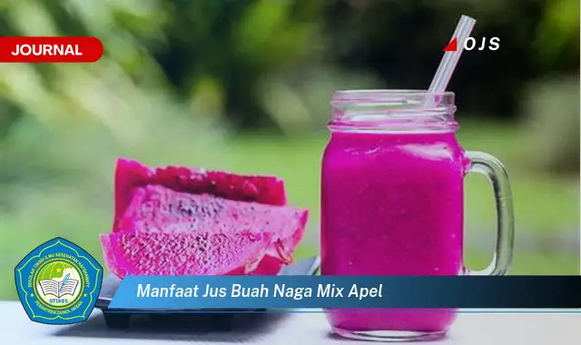 manfaat jus buah naga mix apel