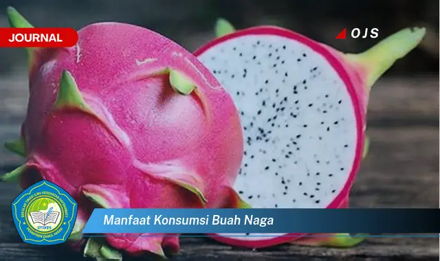 manfaat konsumsi buah naga