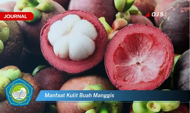 manfaat kulit buah manggis