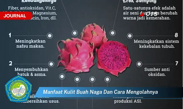 manfaat kulit buah naga dan cara mengolahnya