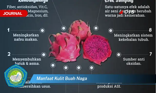 manfaat kulit buah naga