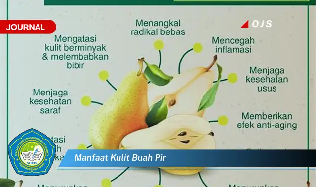 manfaat kulit buah pir