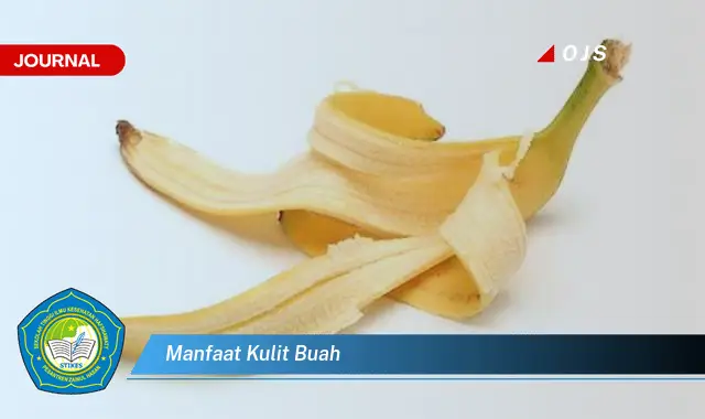 manfaat kulit buah