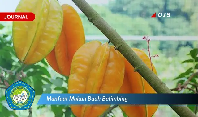 manfaat makan buah belimbing