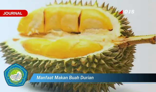 manfaat makan buah durian manfaat makan buah durian