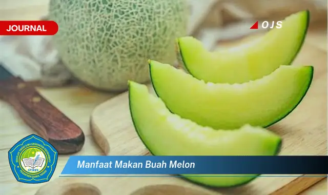 manfaat makan buah melon