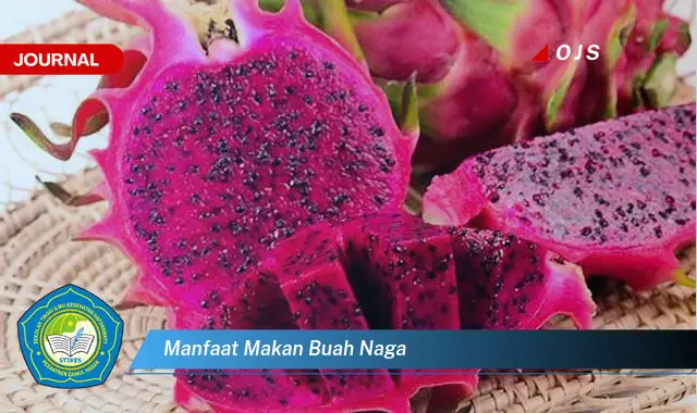 manfaat makan buah naga