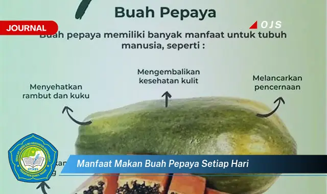 manfaat makan buah pepaya setiap hari