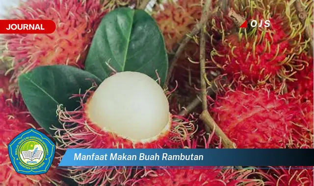 manfaat makan buah rambutan