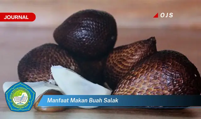 manfaat makan buah salak