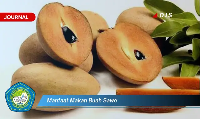 manfaat makan buah sawo