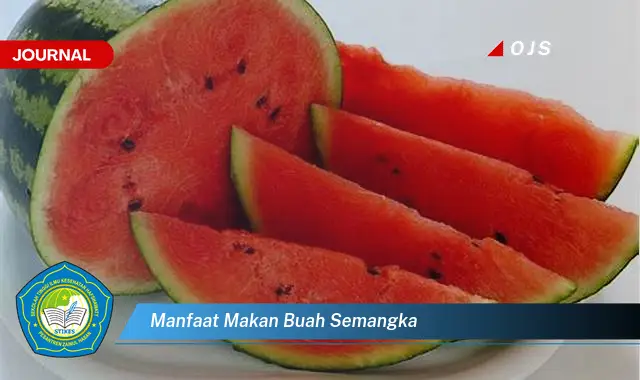 manfaat makan buah semangka