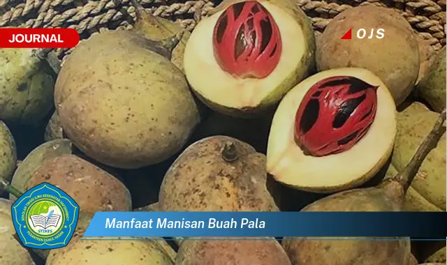 manfaat manisan buah pala