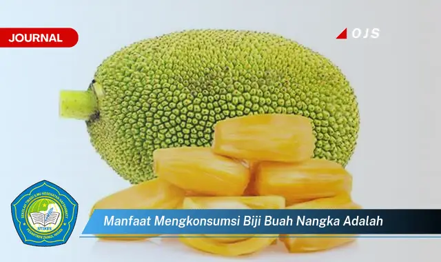 manfaat mengkonsumsi biji buah nangka adalah