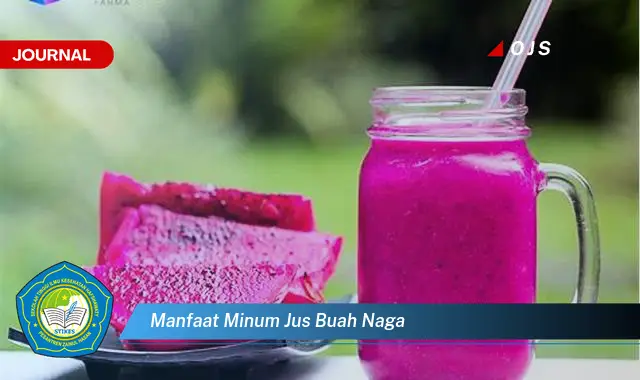 manfaat minum jus buah naga