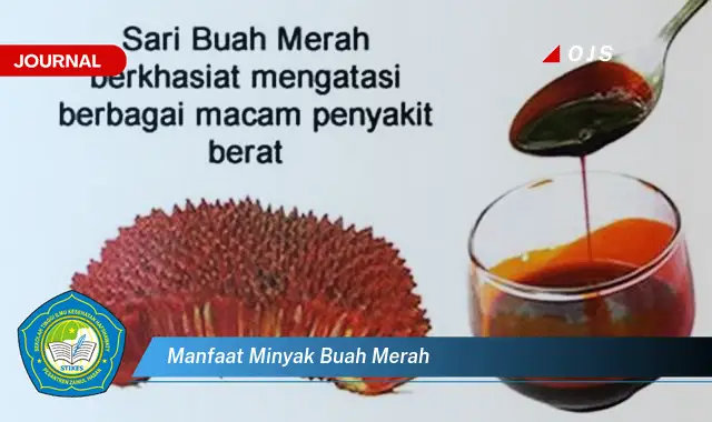 manfaat minyak buah merah