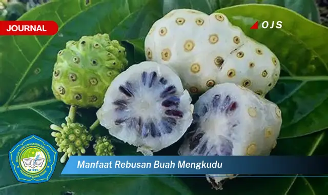 manfaat rebusan buah mengkudu