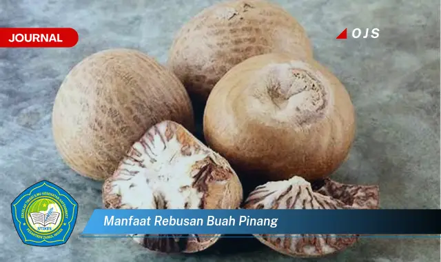 manfaat rebusan buah pinang