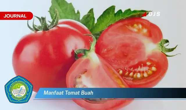 manfaat tomat buah