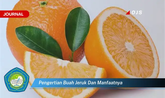 pengertian buah jeruk dan manfaatnya