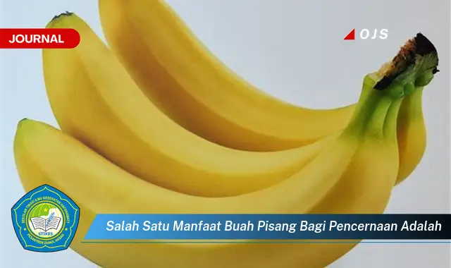 salah satu manfaat buah pisang bagi pencernaan adalah