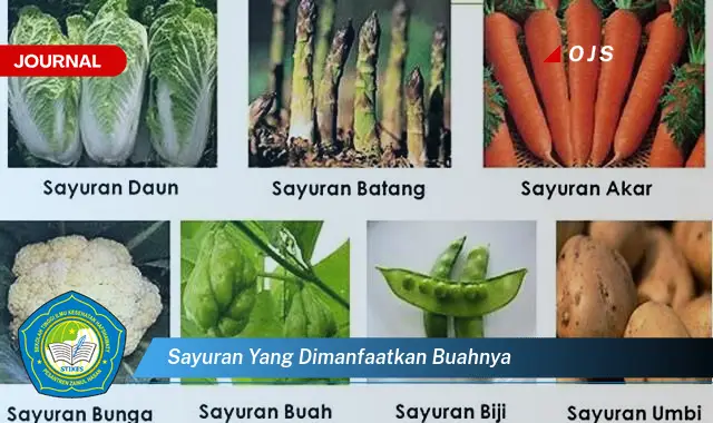 sayuran yang dimanfaatkan buahnya