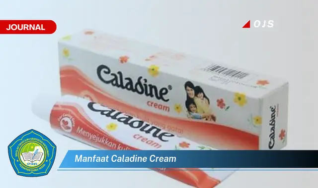 manfaat caladine cream