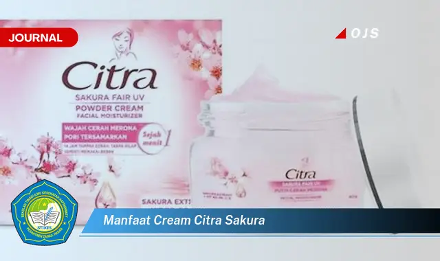 manfaat cream citra sakura manfaat cream citra sakura