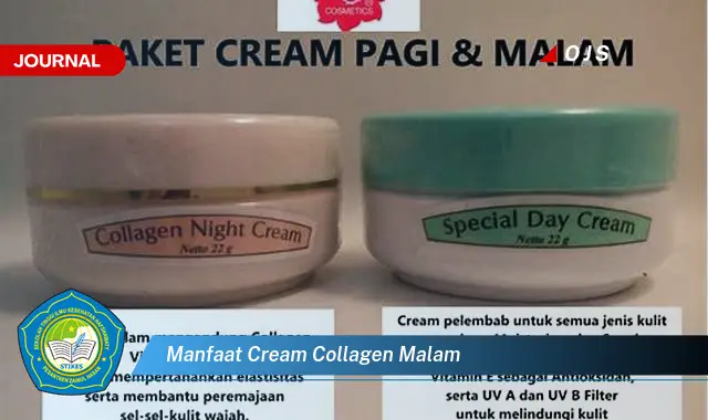 manfaat cream collagen malam