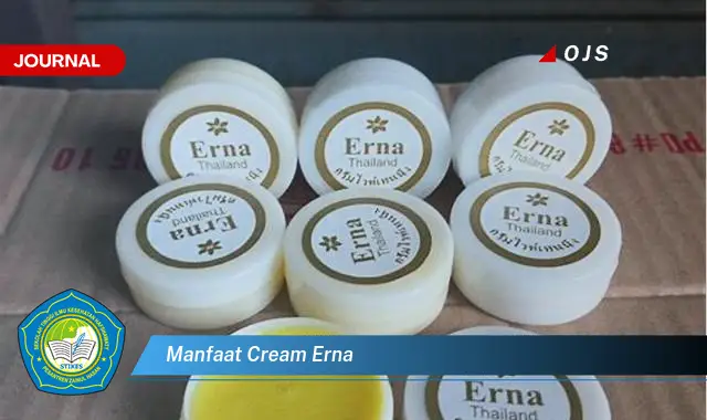 manfaat cream erna
