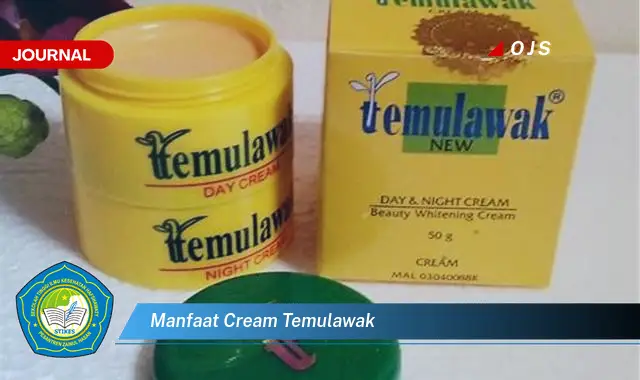 Temukan 6 Manfaat Cream Temulawak yang Bikin Kamu Penasaran - E-Journal