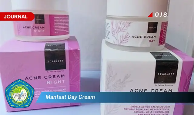 manfaat day cream