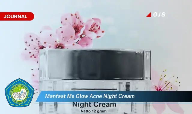 manfaat ms glow acne night cream