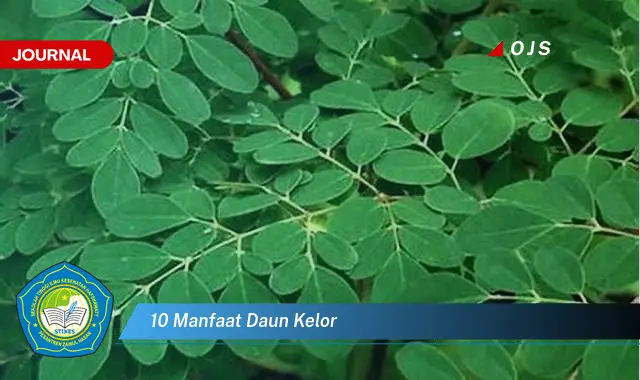 10 manfaat daun kelor