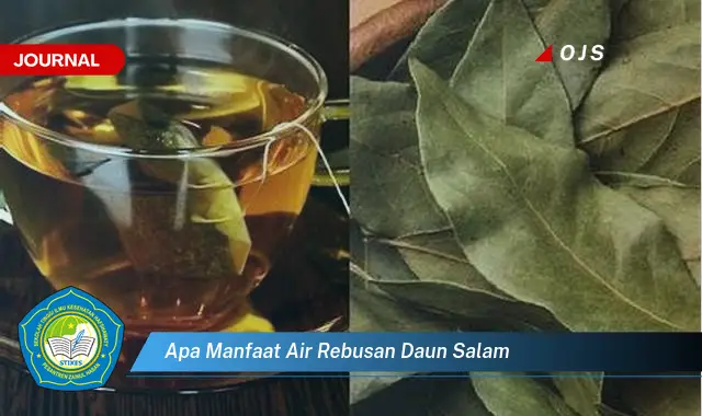 apa manfaat air rebusan daun salam