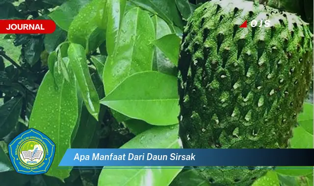 apa manfaat dari daun sirsak