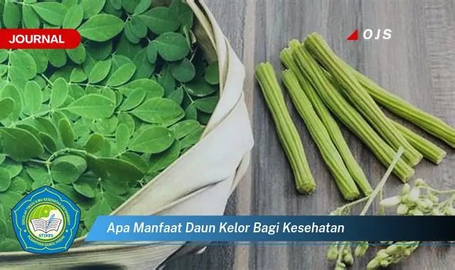 Temukan 10 Manfaat Daun Kelor bagi Kesehatan,  Solusi Alami untuk Hidup Lebih Sehat