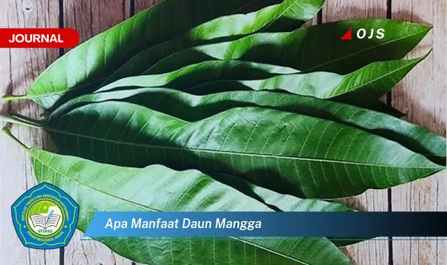 apa manfaat daun mangga