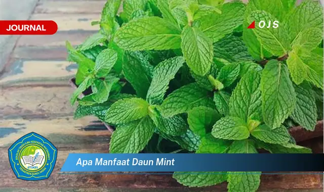 apa manfaat daun mint