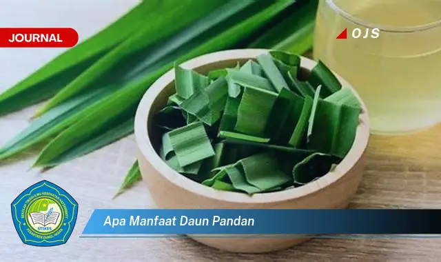 Ketahui 9 Manfaat Daun Pandan untuk Kesehatan, Kecantikan, dan Masakan