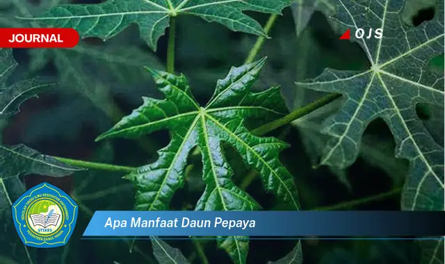 apa manfaat daun pepaya