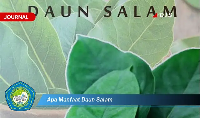 apa manfaat daun salam