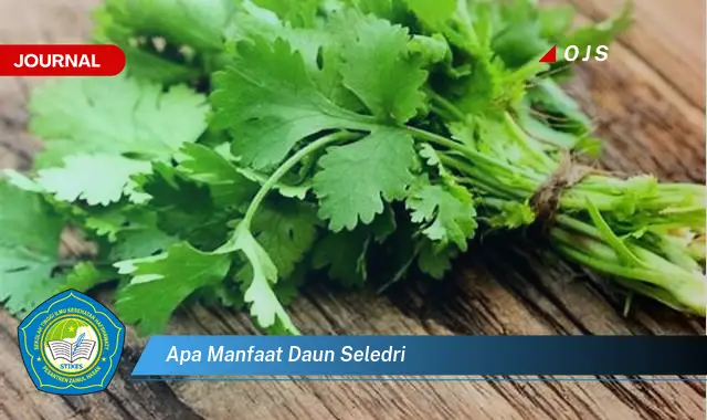 Ketahui 10 Manfaat Daun Seledri untuk Kesehatan Tubuh Anda Secara Lengkap