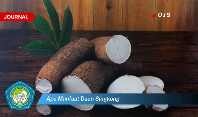 apa manfaat daun singkong