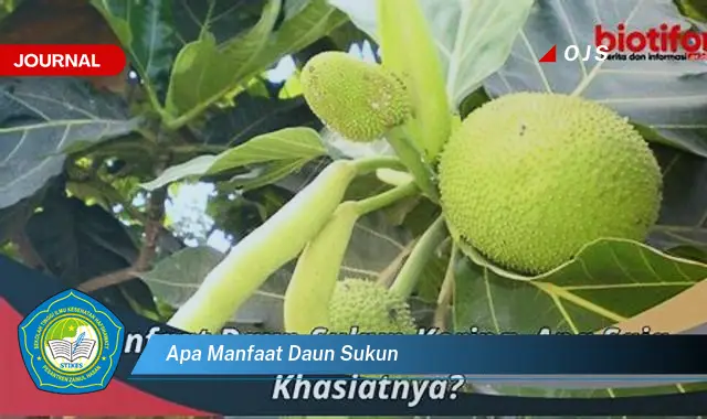 Ketahui 10 Manfaat Daun Sukun untuk Kesehatan dan Kecantikan