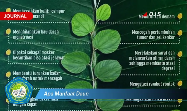 apa manfaat daun