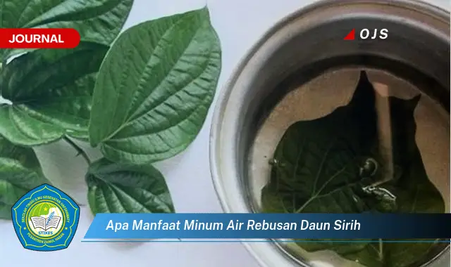 Ketahui 8 Manfaat Minum Air Rebusan Daun Sirih untuk Kesehatan Tubuh Anda