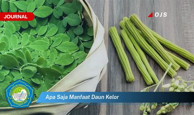 apa saja manfaat daun kelor